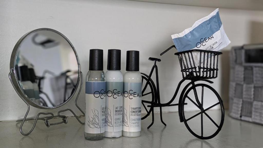 Dynamic Bike Home Curtea de Argeş Екстериор снимка